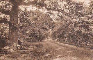 Hall Lane c. 1909