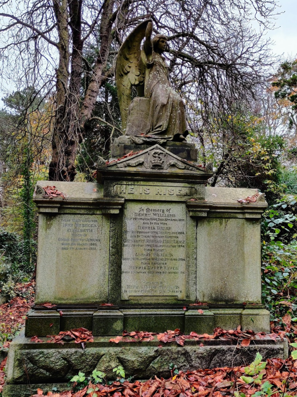 Williams grave 1a