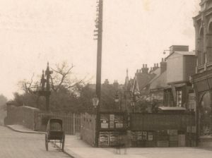 Rendle's original nursery around 1917