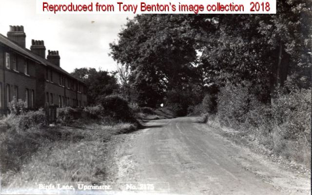 Bird Lane cottages small