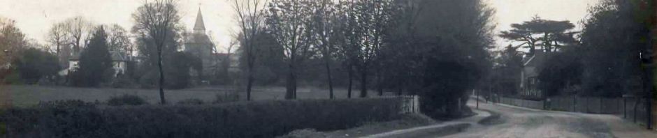 From Tony Benton's Image Collection 2022. Not to be reproduced without approval